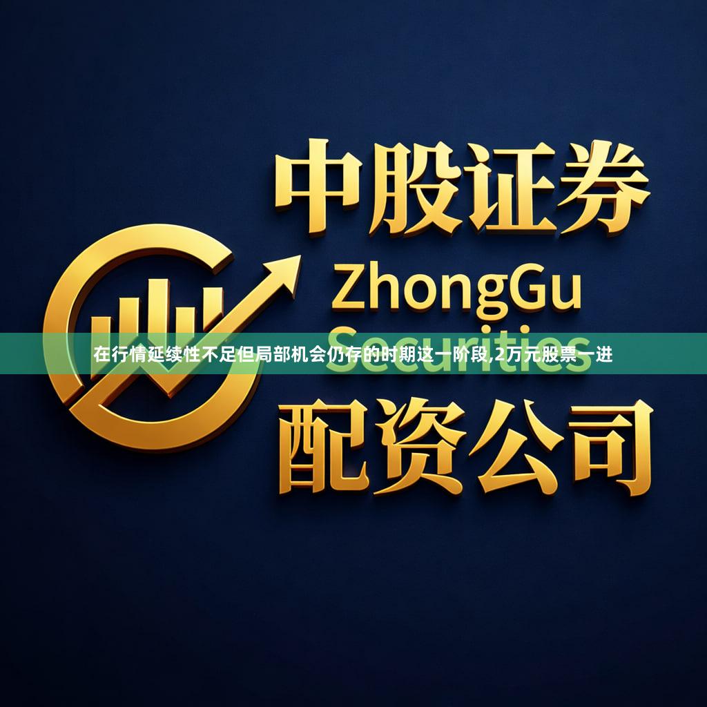 在行情延续性不足但局部机会仍存的时期这一阶段,2万元股票一进