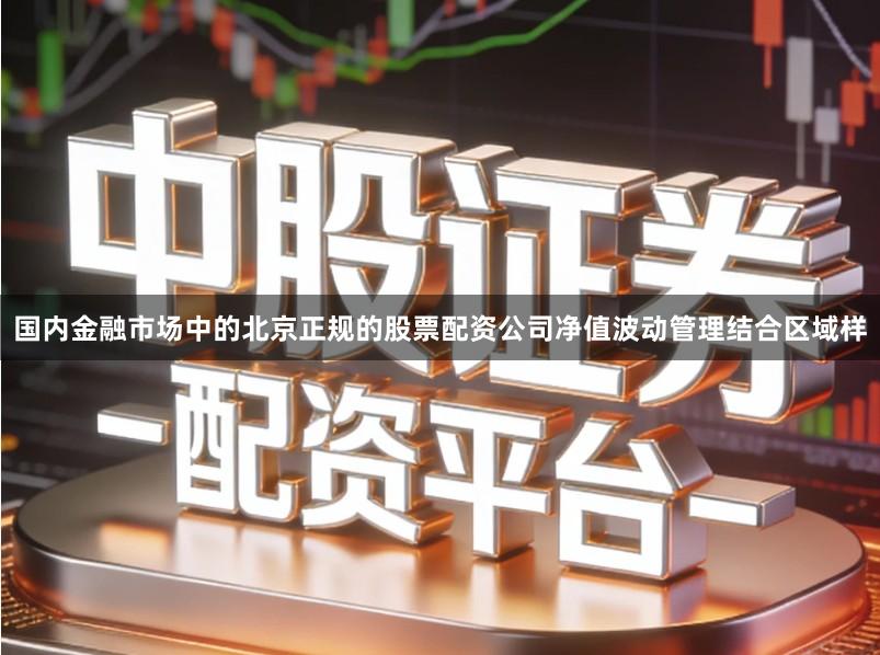 国内金融市场中的北京正规的股票配资公司净值波动管理结合区域样