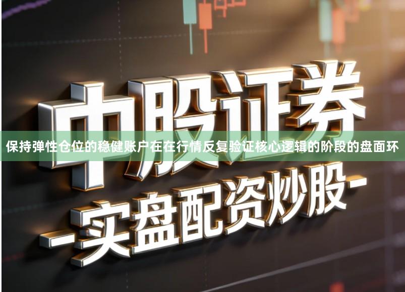 保持弹性仓位的稳健账户在在行情反复验证核心逻辑的阶段的盘面环