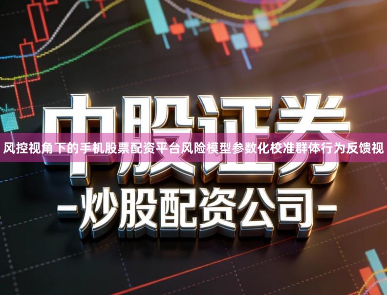 风控视角下的手机股票配资平台风险模型参数化校准群体行为反馈视